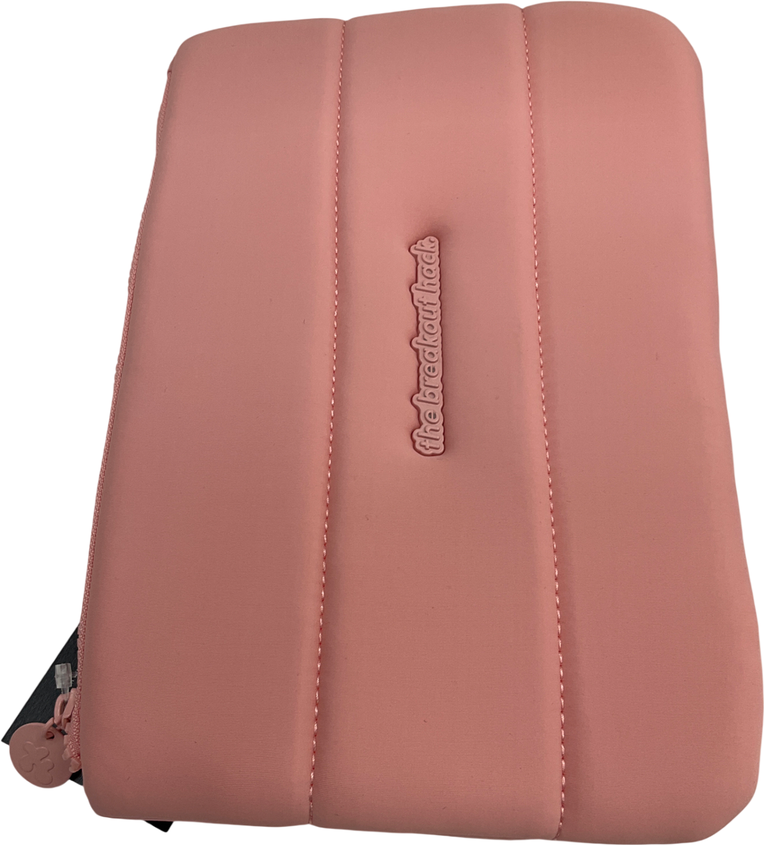 Pink Puffy Makeup Pouch One Size