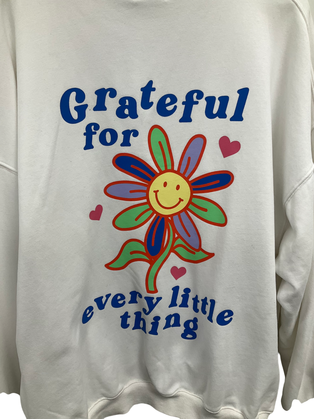 SLA the label White Grateful For Every Little Thing Slogan Hoodie UK XL