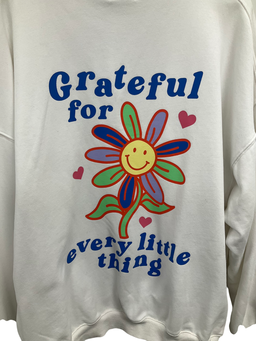 SLA the label White Grateful For Every Little Thing Slogan Hoodie UK XL