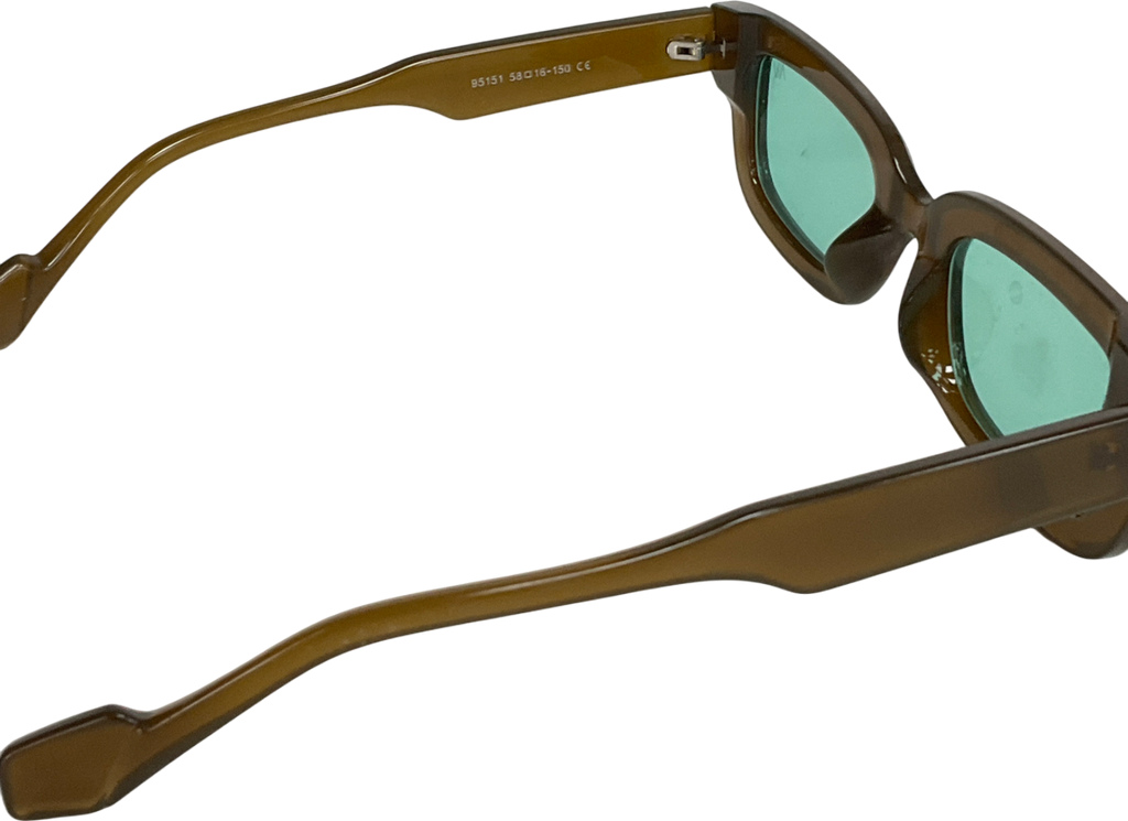 AV sunglasses Brown Women Aviator Sunglasses