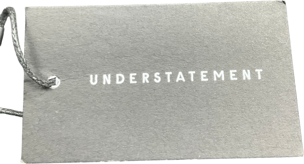 Understatement Black Lace Bikini Briefs UK M