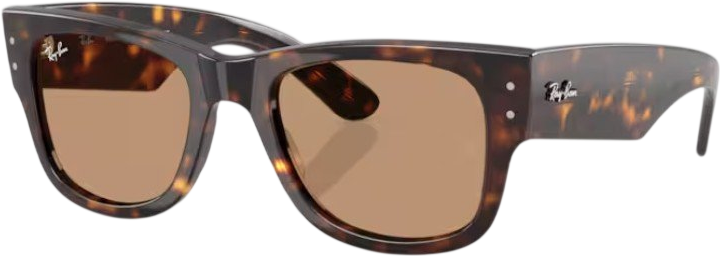 RAY-BAN Brown Tortoise Rb0840s Mega Wayfarer Sunglasses In Case