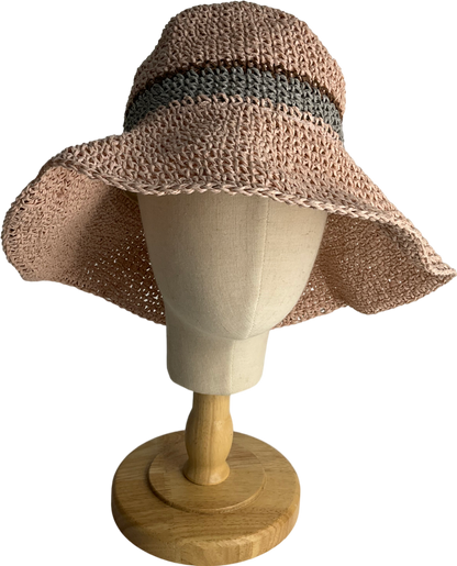 Pink Pink, Blue And Brown Striped Straw Hat No Size