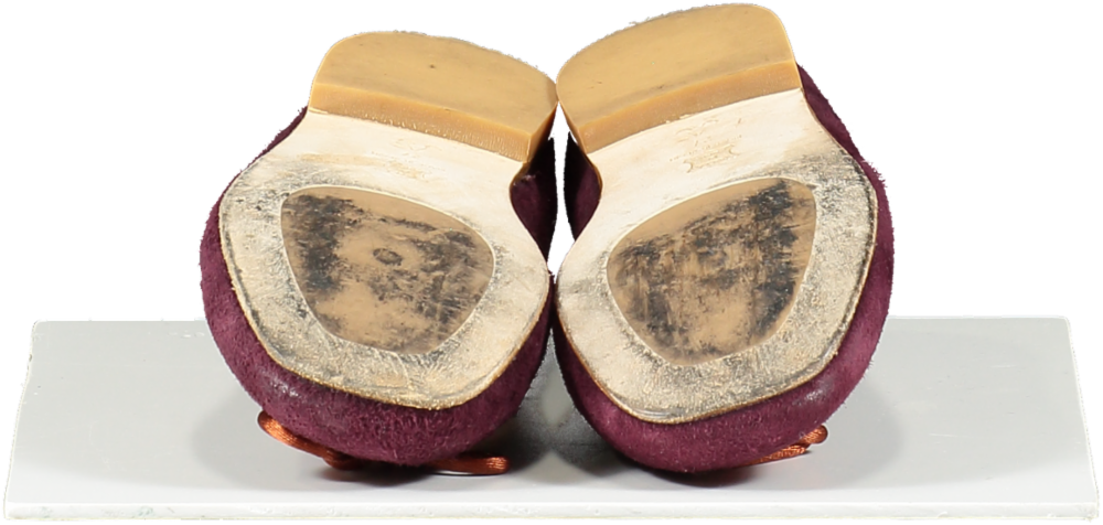 Bonpoint Purple Ballerinas With Elastic Strap UK 9.5 EU 27 👼