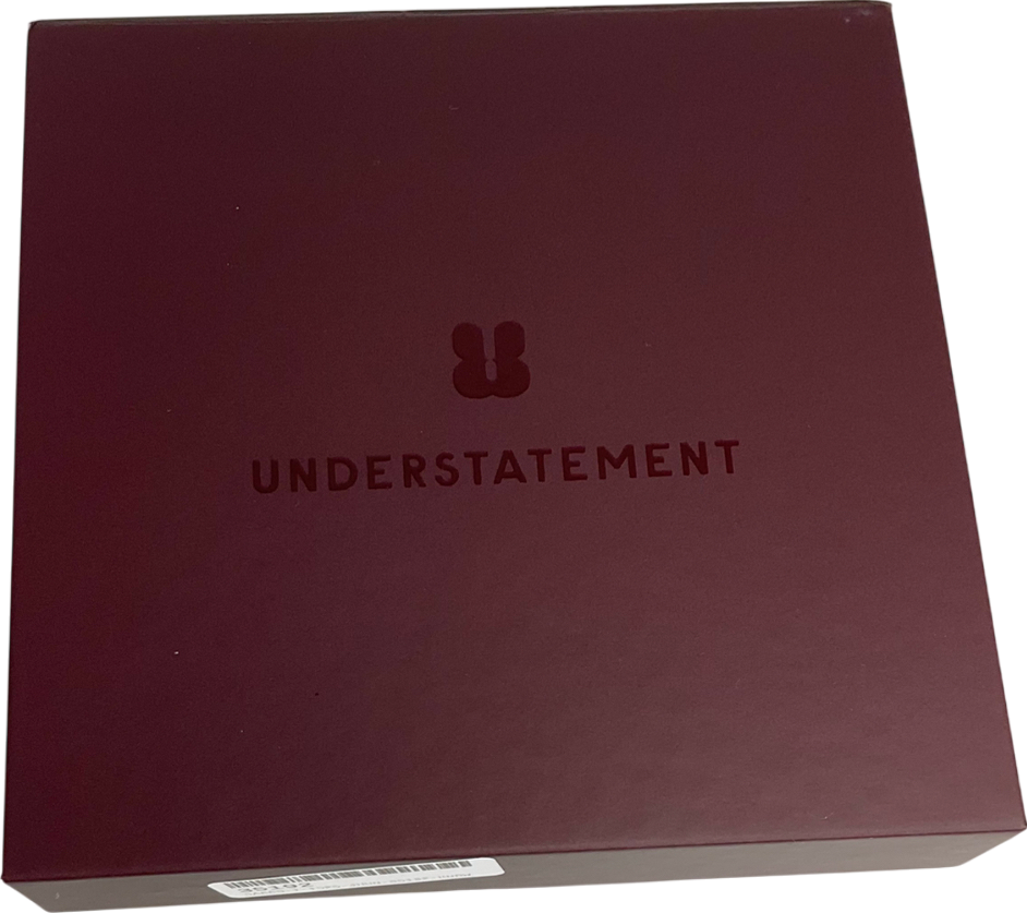 Understatement Black Leopard Mesh Thong And Plunge Bralette UK M