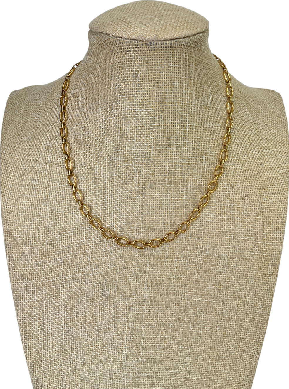 Metallic Chain Necklace One Size