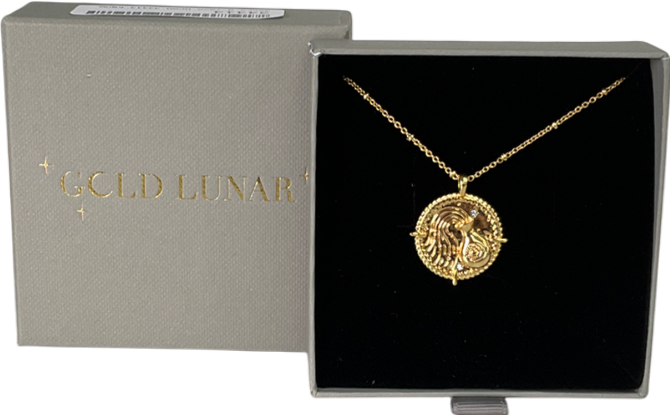GCLD LUNAR Metallic Aquarius Engraved & Personalised Zodiac Star Sign Necklace One Size