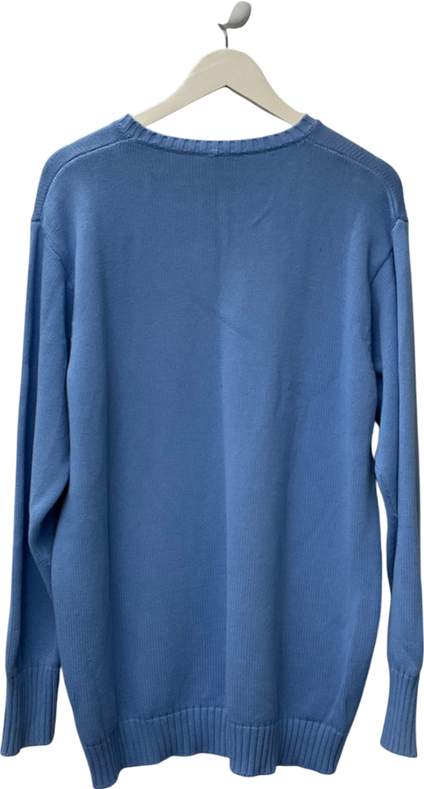 Brandy Melville Blue Brianna Sweater One Size