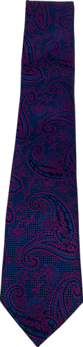 Ted Baker Endurance Pure Silk Purple & Blue Paisley Embroidered Tie