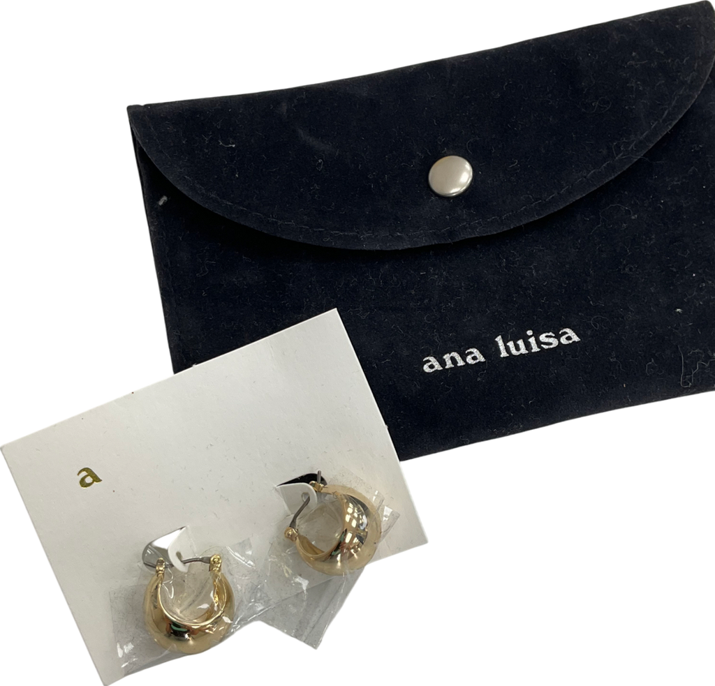 Ana Luisa Metallic Abby Hoop Earrings