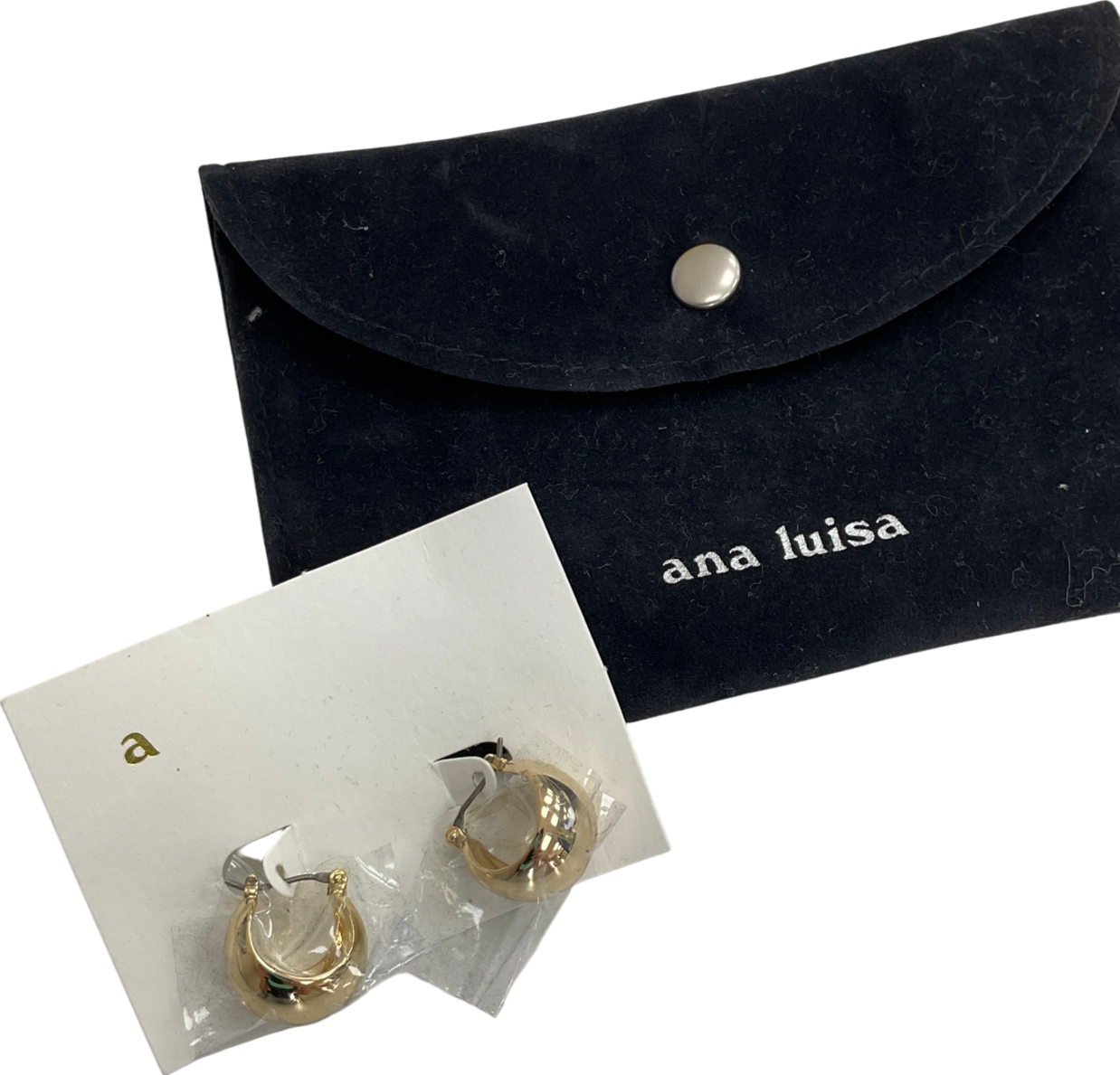 Ana Luisa Metallic Abby Hoop Earrings