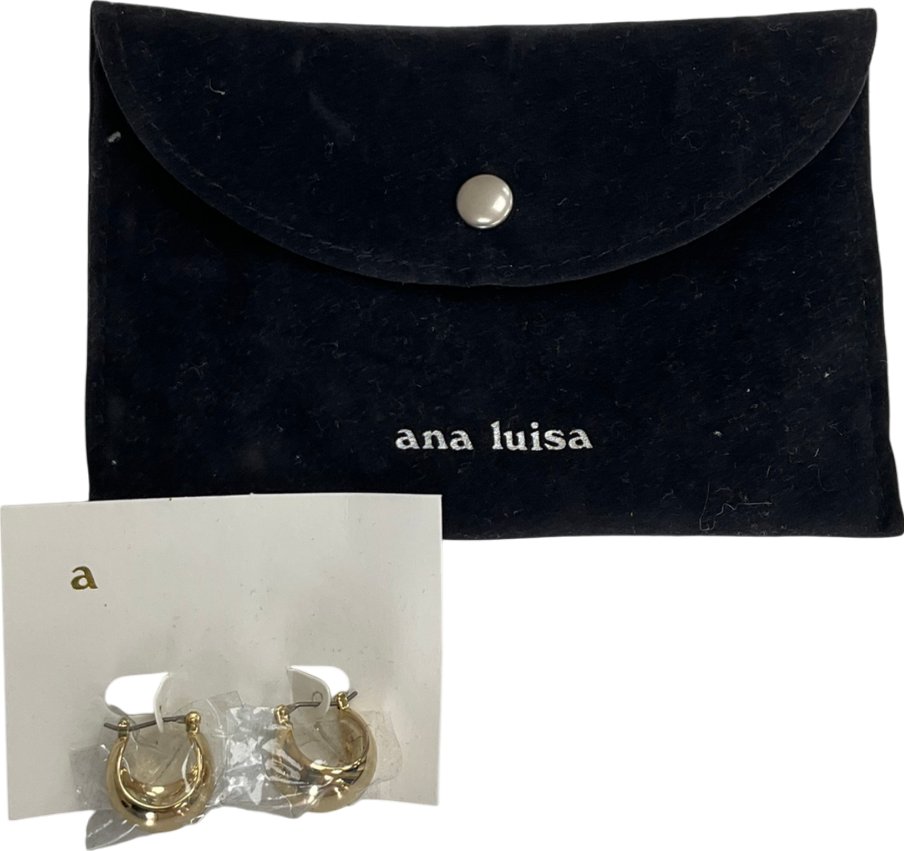 Ana Luisa Metallic Abby Hoop Earrings
