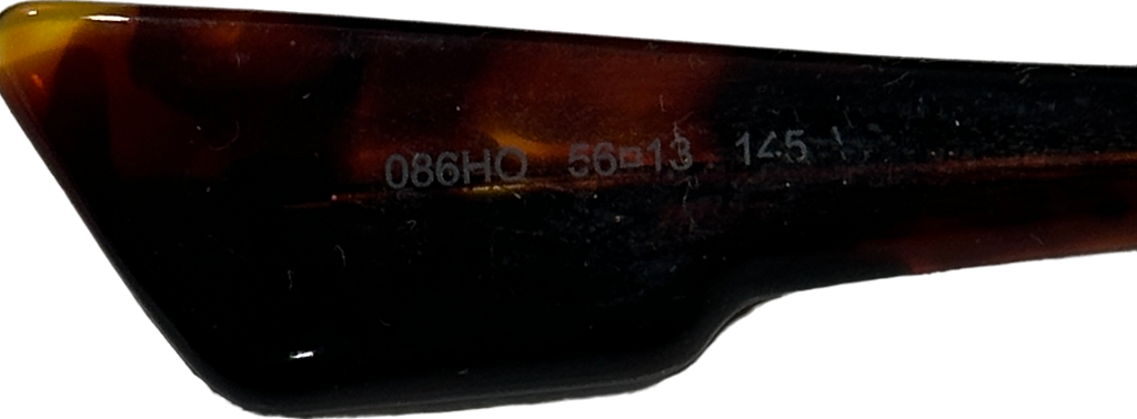 Christian Dior Brown Diorclub2 Sunglasses