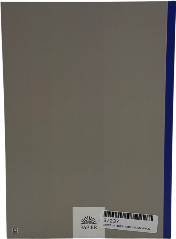 PAPIER Blue Wonder Undated Daily Diary