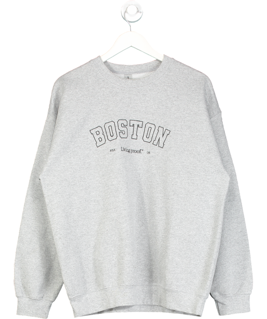 Gildan Grey Boston Logo Sweater UK L