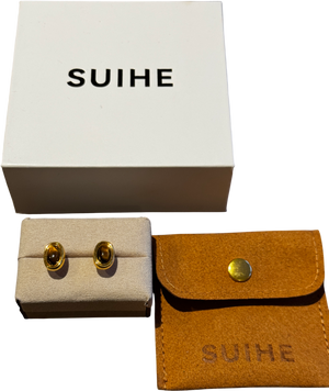 SUIHE 18k Yellow Gold Vermeil Over Sterling Silver Halo Tiger Eye Stone Stud Earrings