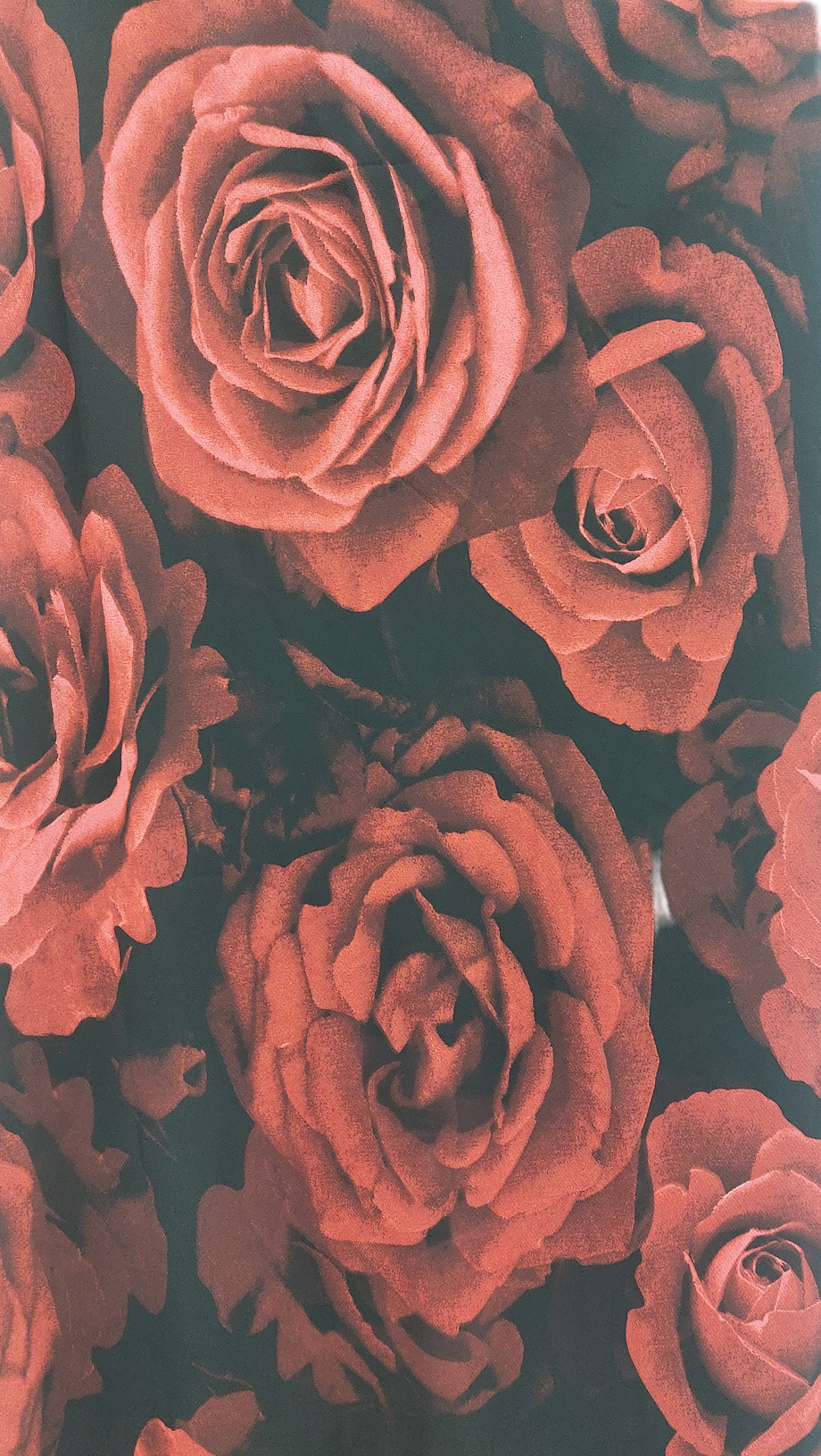 No Label Needed Red Rose Floral Chiffon Maxi Skirt UK 8