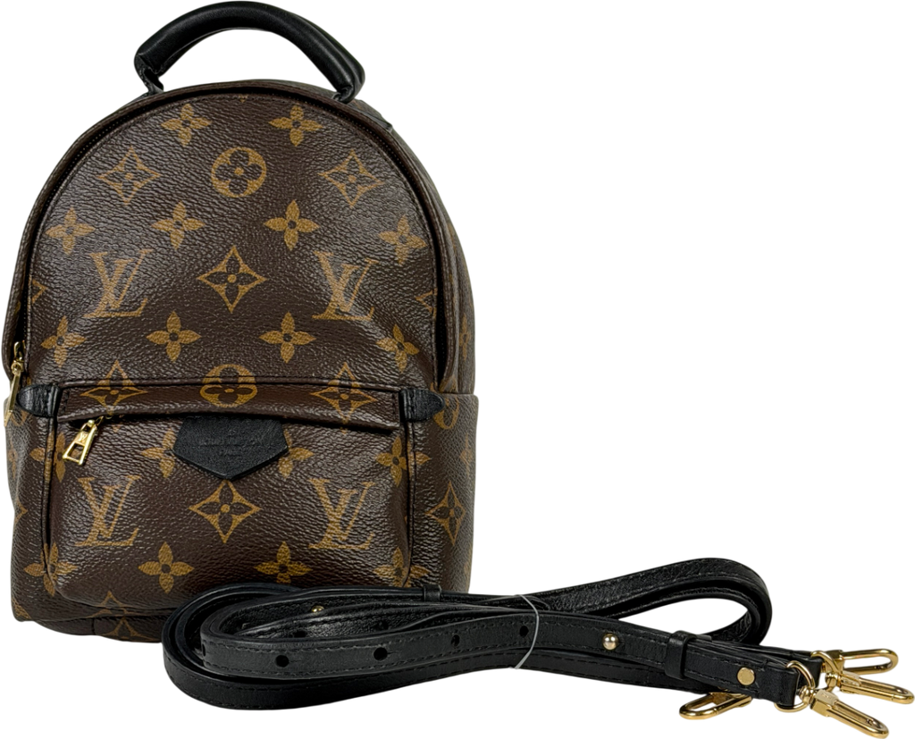 Louis Vuitton Brown LV Monogram Palm Springs Mini Backpack