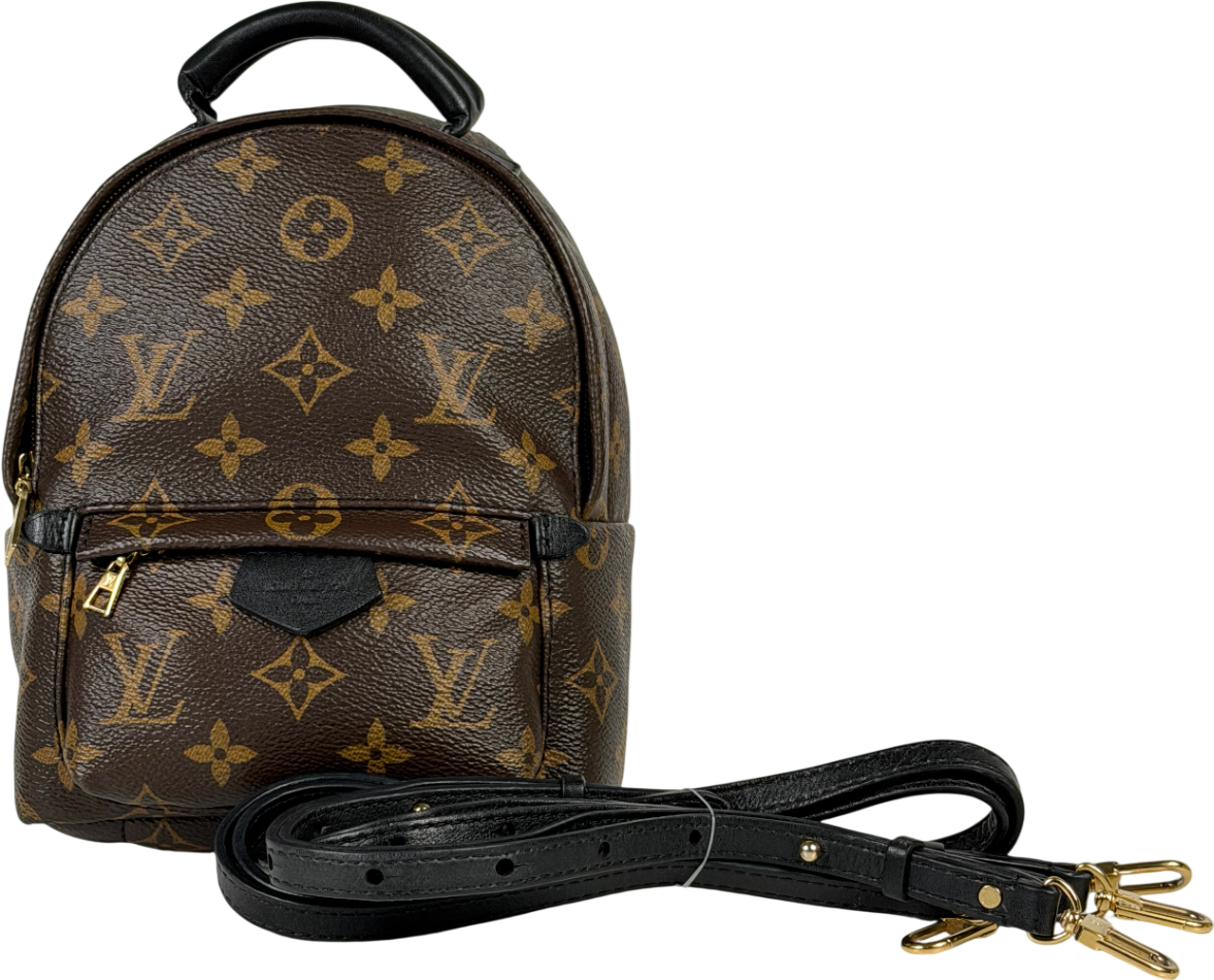 Louis Vuitton Brown LV Monogram Palm Springs Mini Backpack
