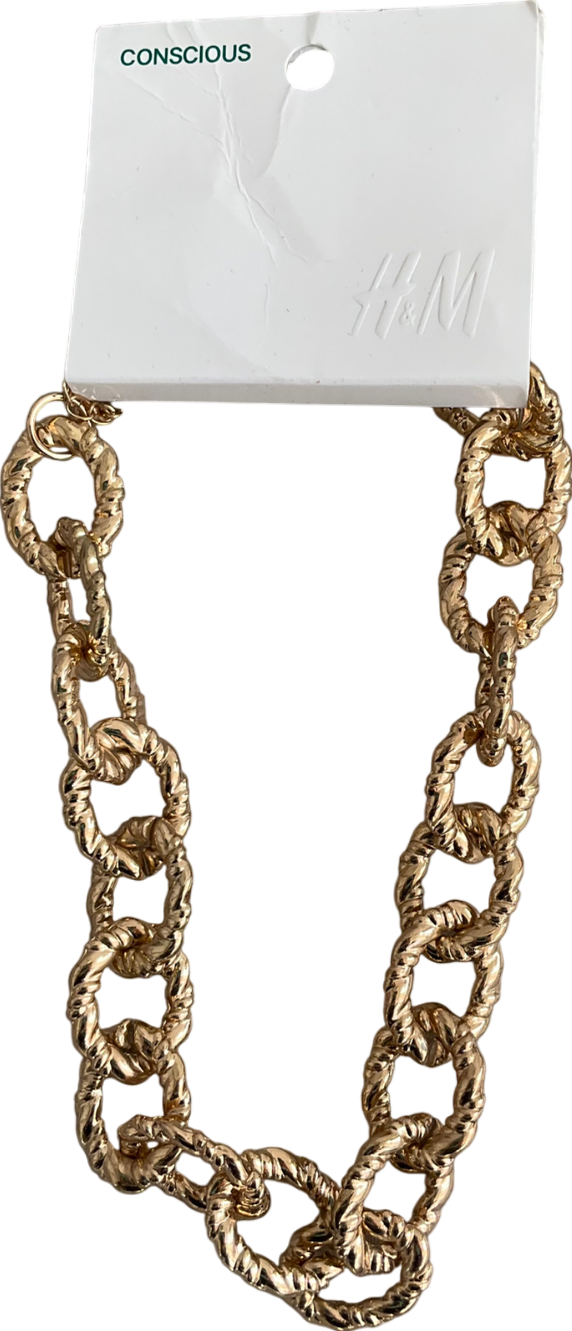 H&M Metallic Wide Chain Necklace One Size