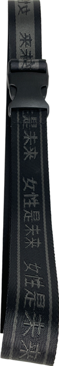 PrettyLittleThing Black Reversible Belt One Size