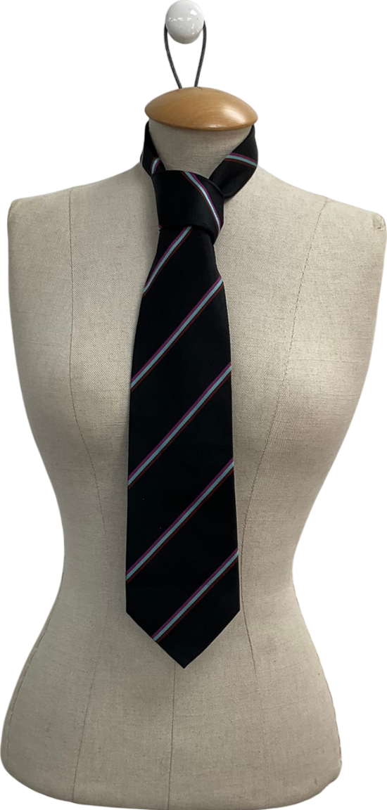 Black Silk Striped Tie One Size