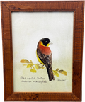 ARTFULLY WALLS White Black-headed Bunting Framed Print By Shahar Navot