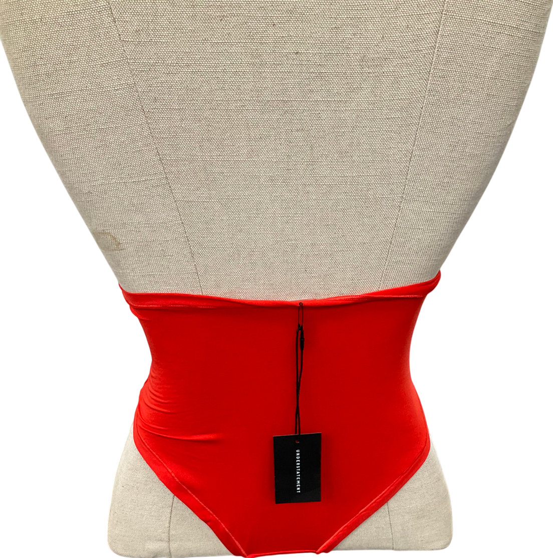 Understatement Red Micro Highwaist Briefs UK M