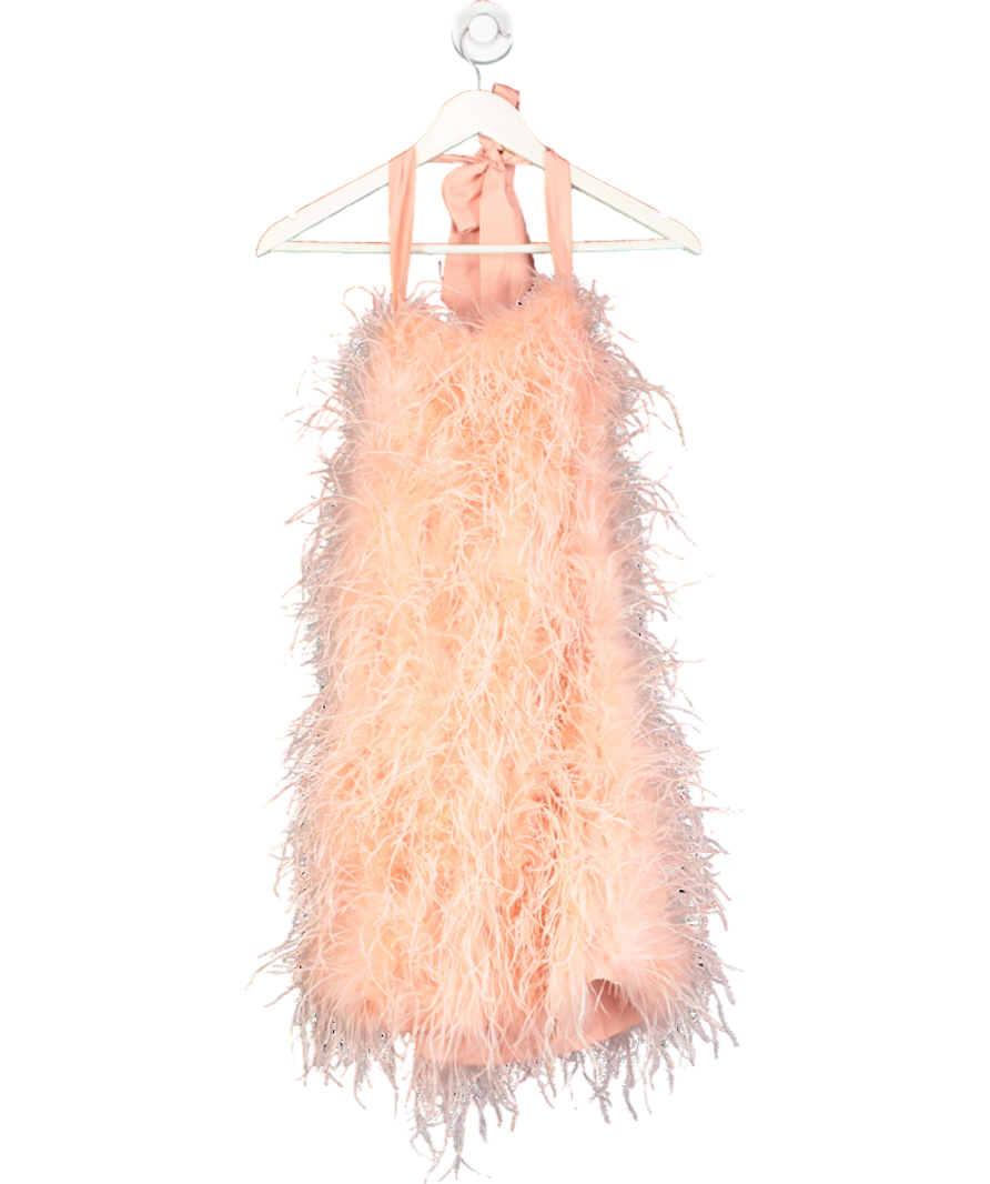Saffiyyah Paul Pink Peach High Neck Feather Dress UK S