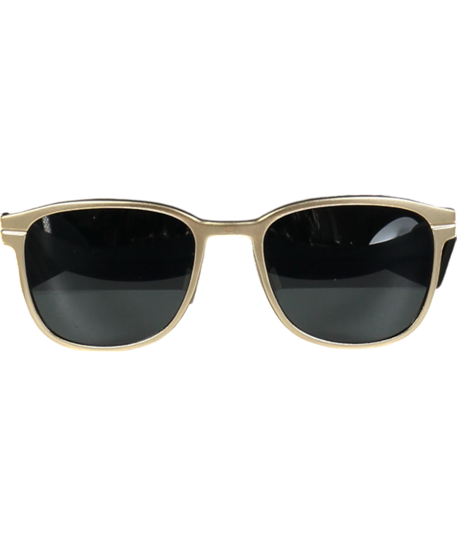 Hugo Metallic 0110/s Gold Sunglasses in case