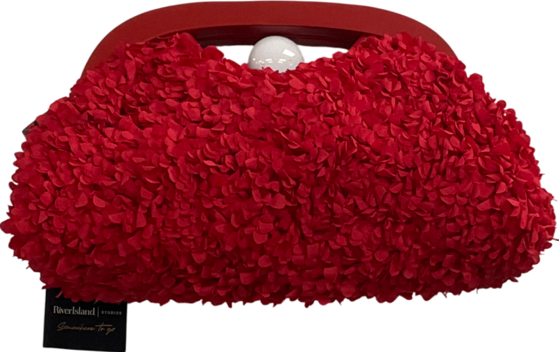 River Island Red 3d Floral Frame Clutch Bag