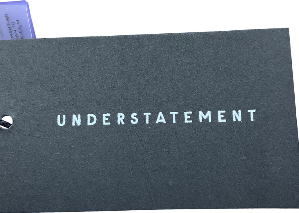 Understatement Purple Lace Mesh Bikini Briefs UK M