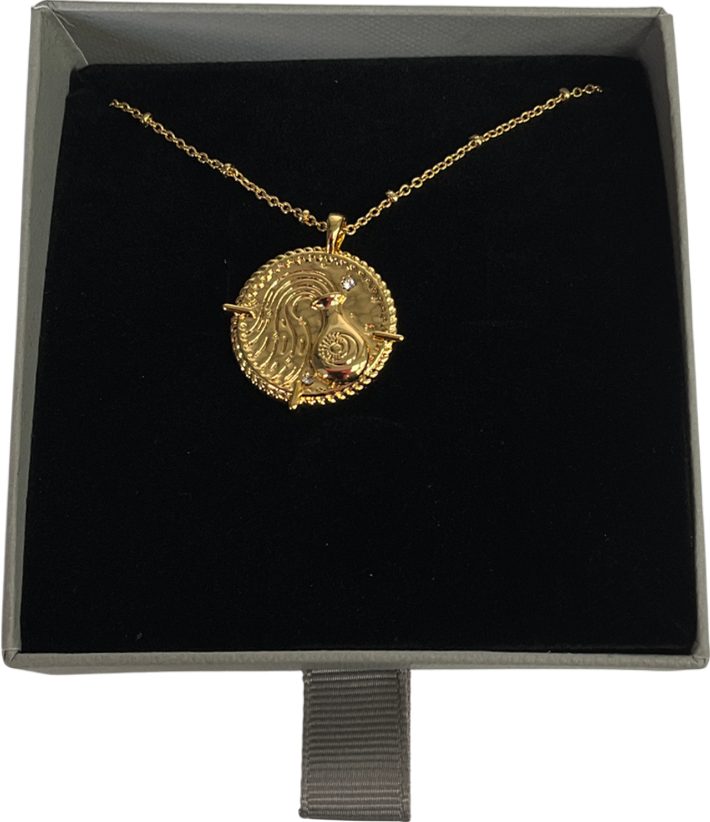 GCLD LUNAR Metallic Aquarius Engraved & Personalised Zodiac Star Sign Necklace One Size