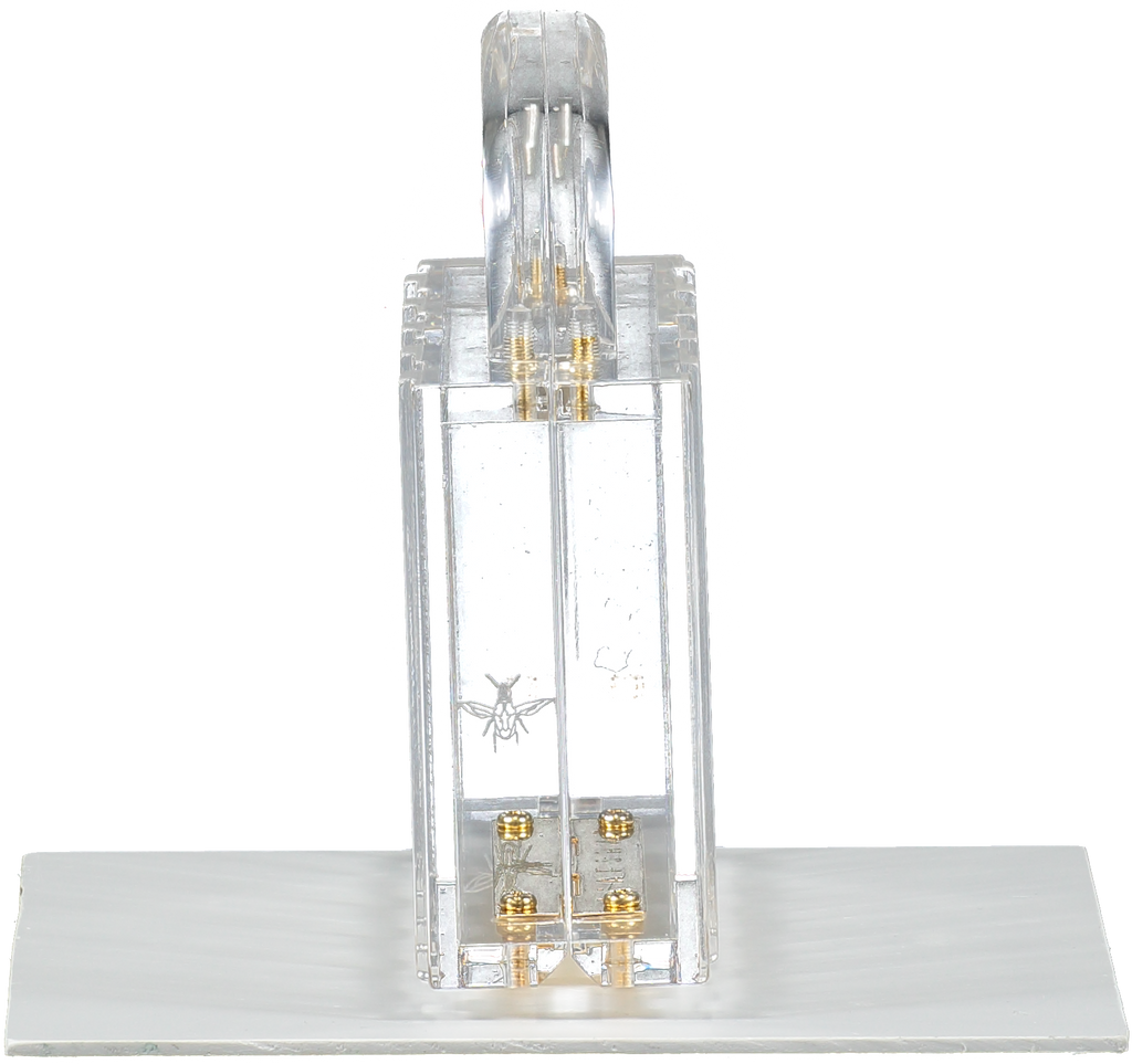 L'Afshar Metallic Lucite Pagoda (gold Hardware) Top Handle Box Bag One Size