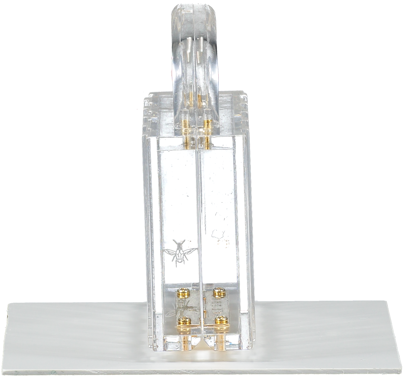 L'Afshar Metallic Lucite Pagoda (gold Hardware) Top Handle Box Bag One Size