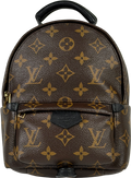 Louis Vuitton Brown LV Monogram Palm Springs Mini Backpack