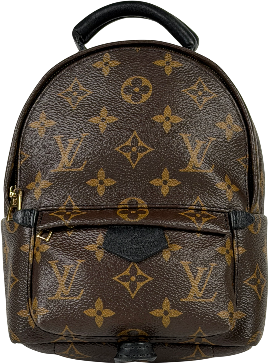 Louis Vuitton Brown LV Monogram Palm Springs Mini Backpack