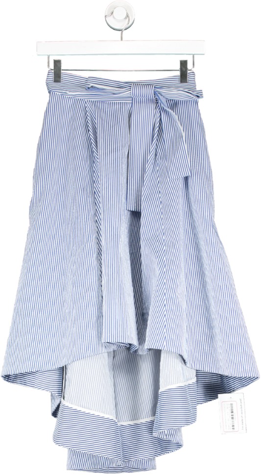 Ted Baker Blue Striped High Waisted Pleat Midi Skirt UK XS