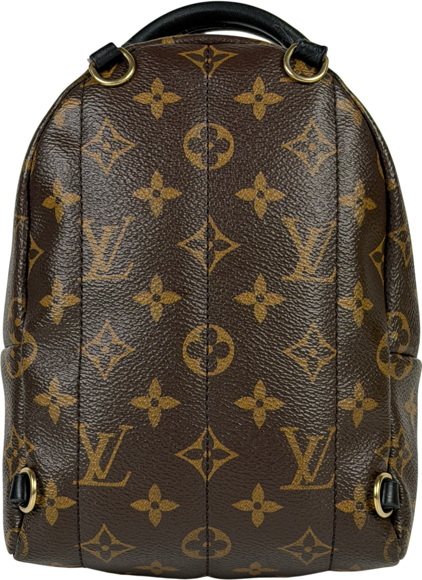 Louis Vuitton Brown LV Monogram Palm Springs Mini Backpack