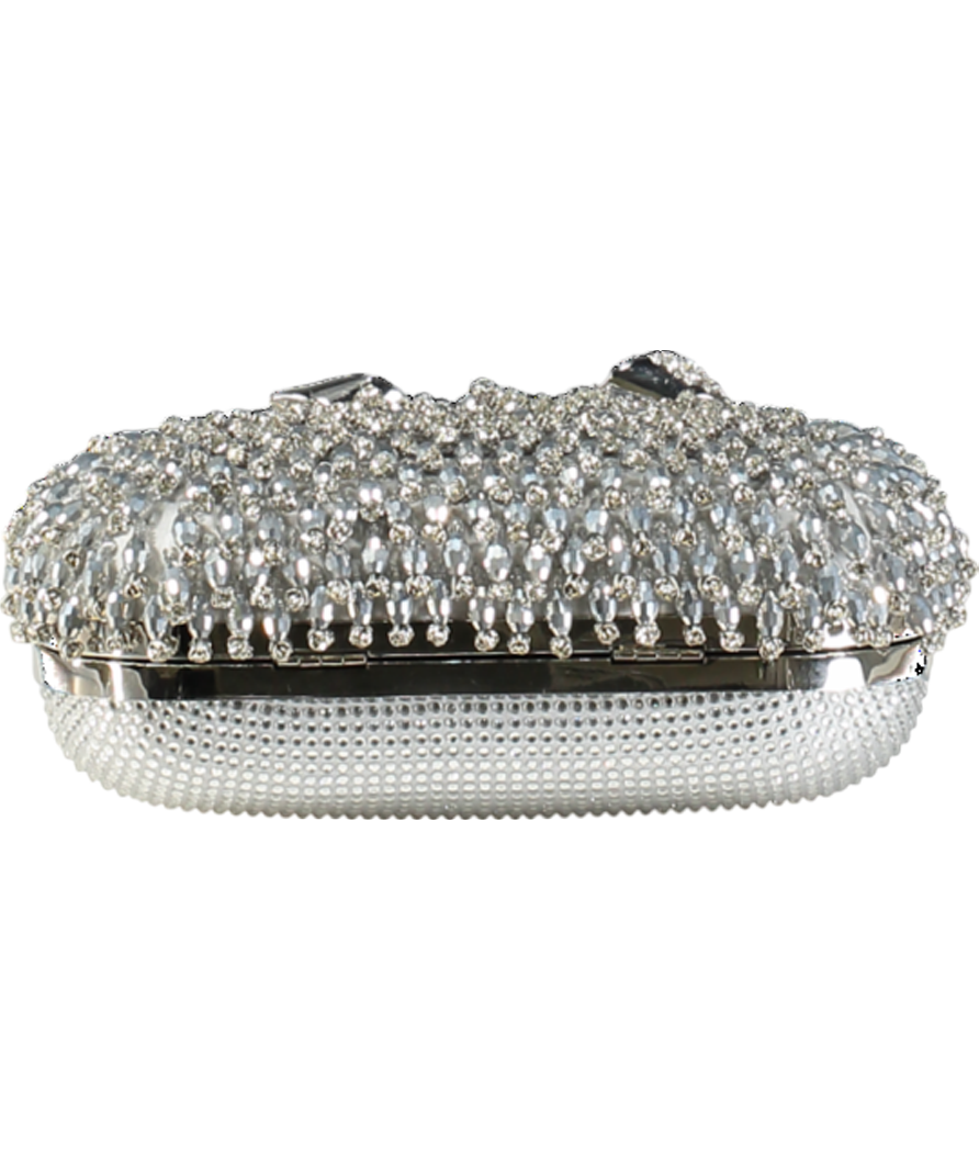 Self-Portrait Metallic Beaded Crystal Bow Topped Box Clutch
