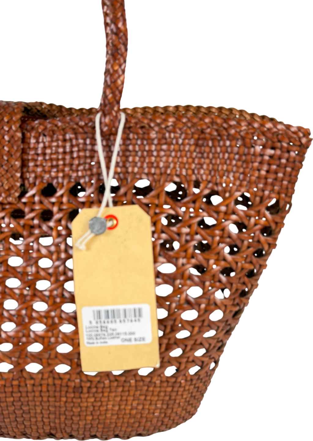 RIXO Brown X Dragon Diffusion Lucine Leather Bag