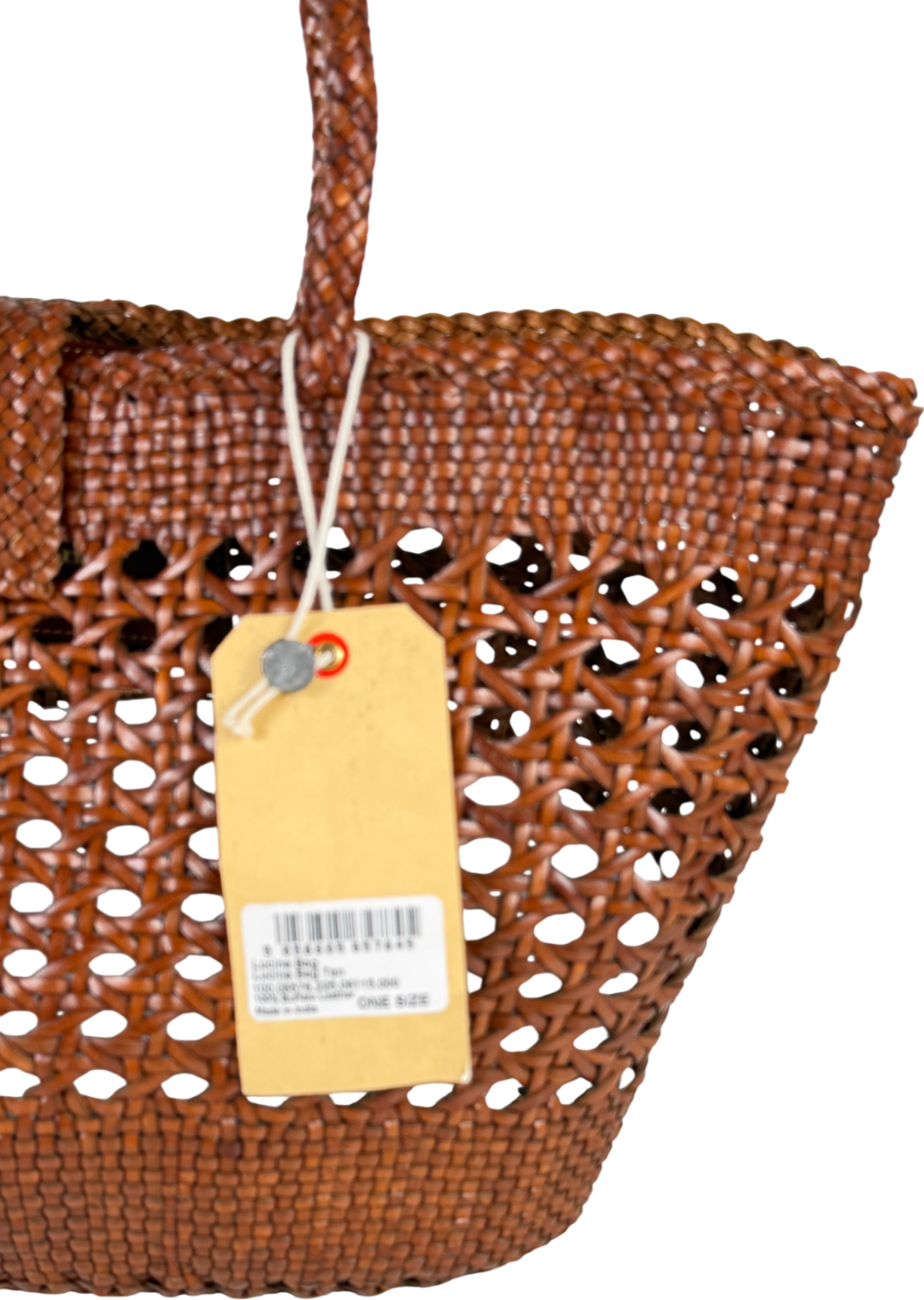 RIXO Brown X Dragon Diffusion Lucine Leather Bag