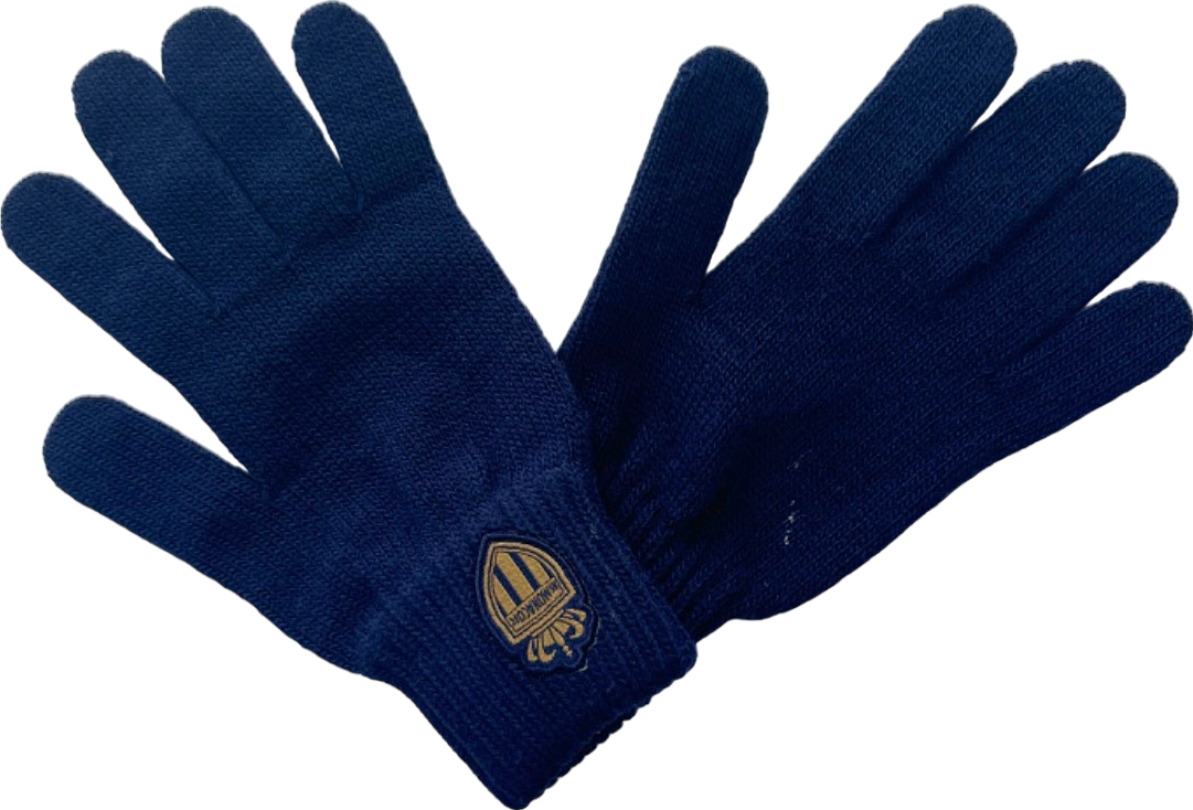 AS Monaco FC Navy Blue Knitted Gloves One Size