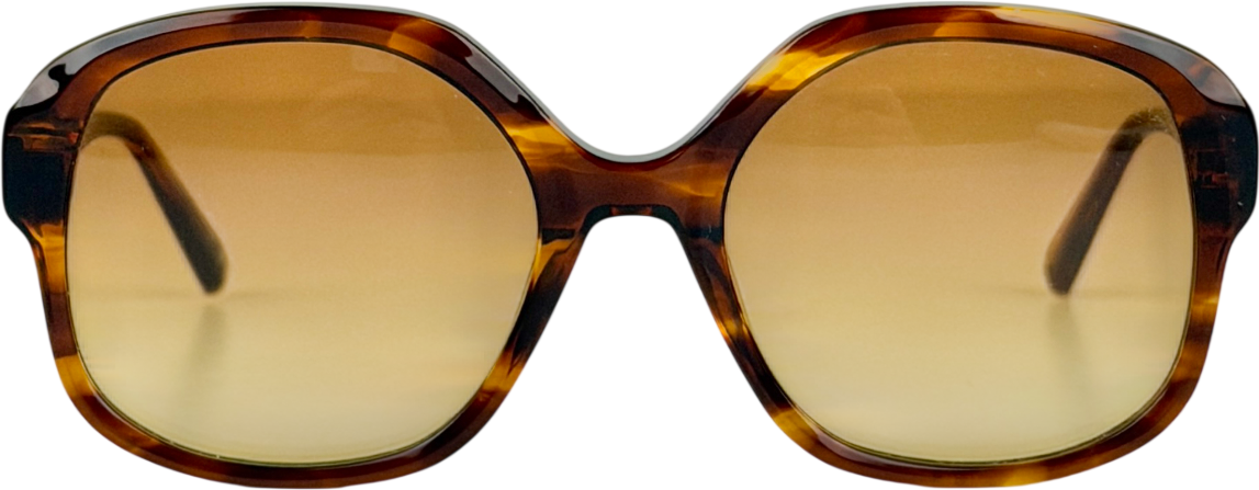 Ted Baker Brown Eloise Tb1685 Gradient Sunglasses