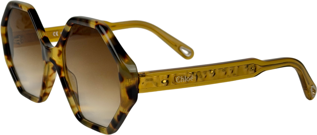Chloé Brown Ce750s Havana Octagonal Sunglasses in Case