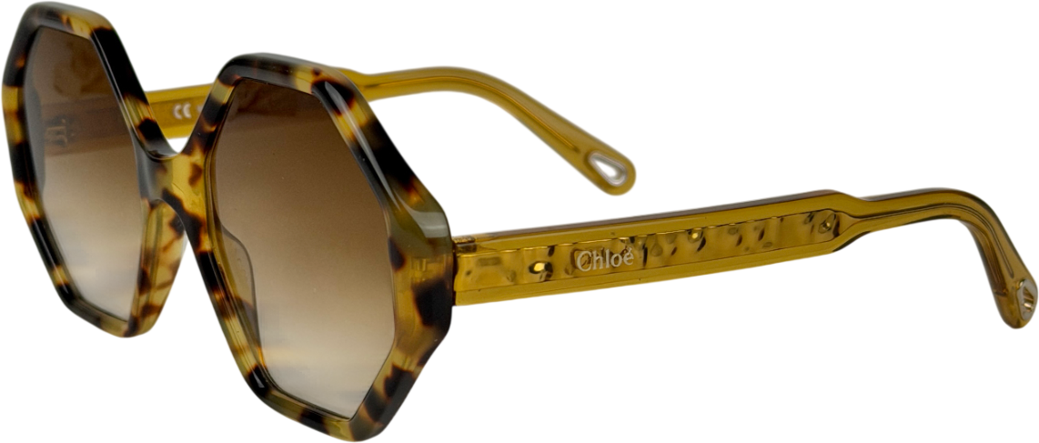Chloé Brown Ce750s Havana Octagonal Sunglasses in Case