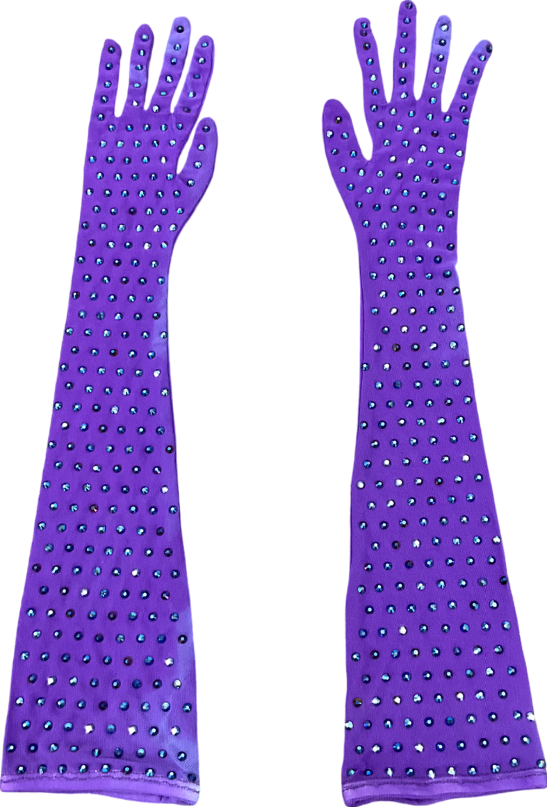 Purple Mesh Embellished Long Glives One Size