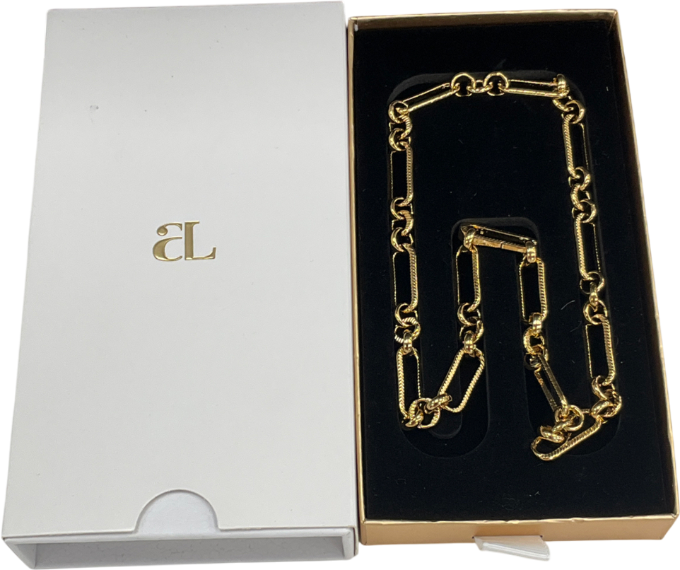 Abbott Lyon Metallic Paperclip Chain Necklace (gold) One Size