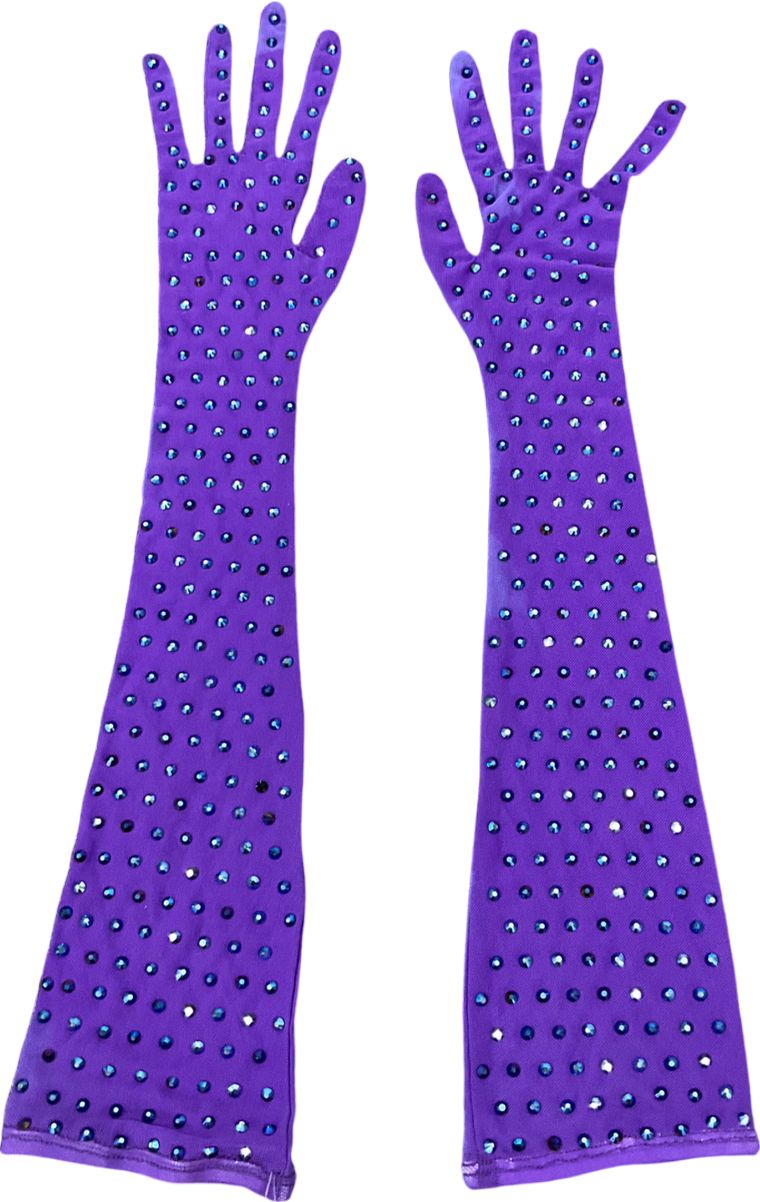 Purple Mesh Embellished Long Glives One Size