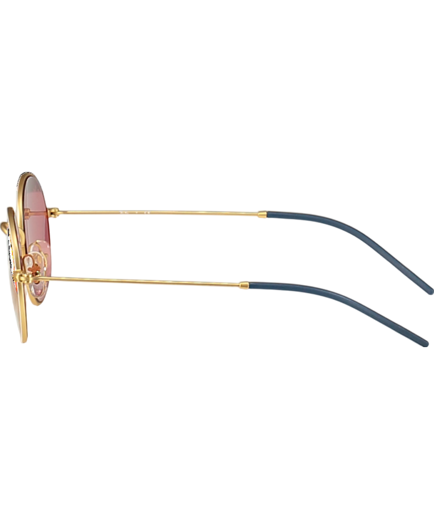 Ray-Ban Pink Oval Metal 3594 Sunglasses